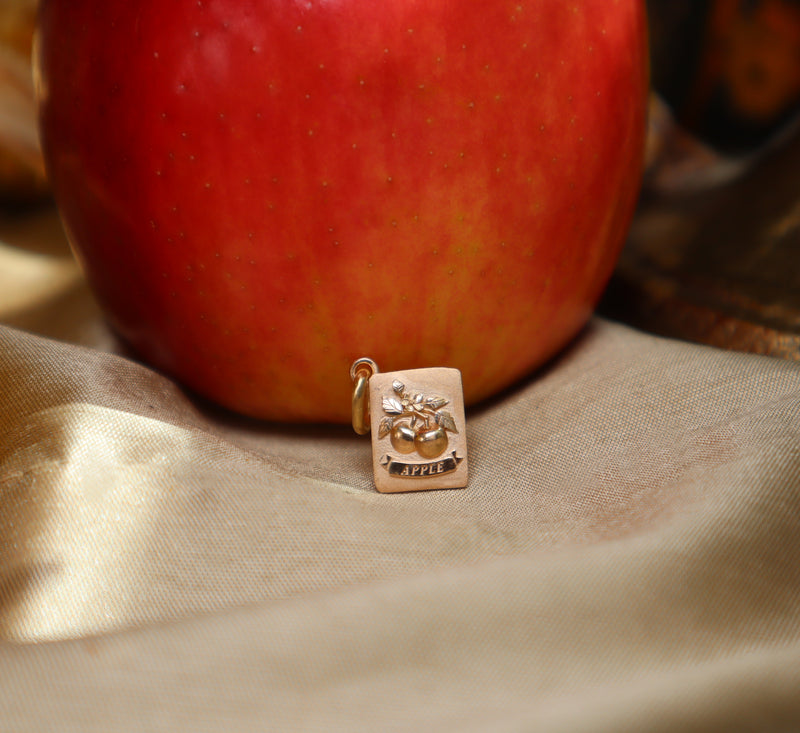 Golden Seed Packet Pendant- Fall Harvest Collection