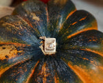 Pumpkin Charm