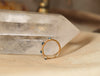 Pod Band with Rose Cut Montana Sapphire and Diamonds (Size 5)