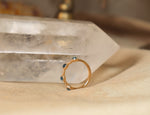 Pod Band with Rose Cut Montana Sapphire and Diamonds (Size 5)