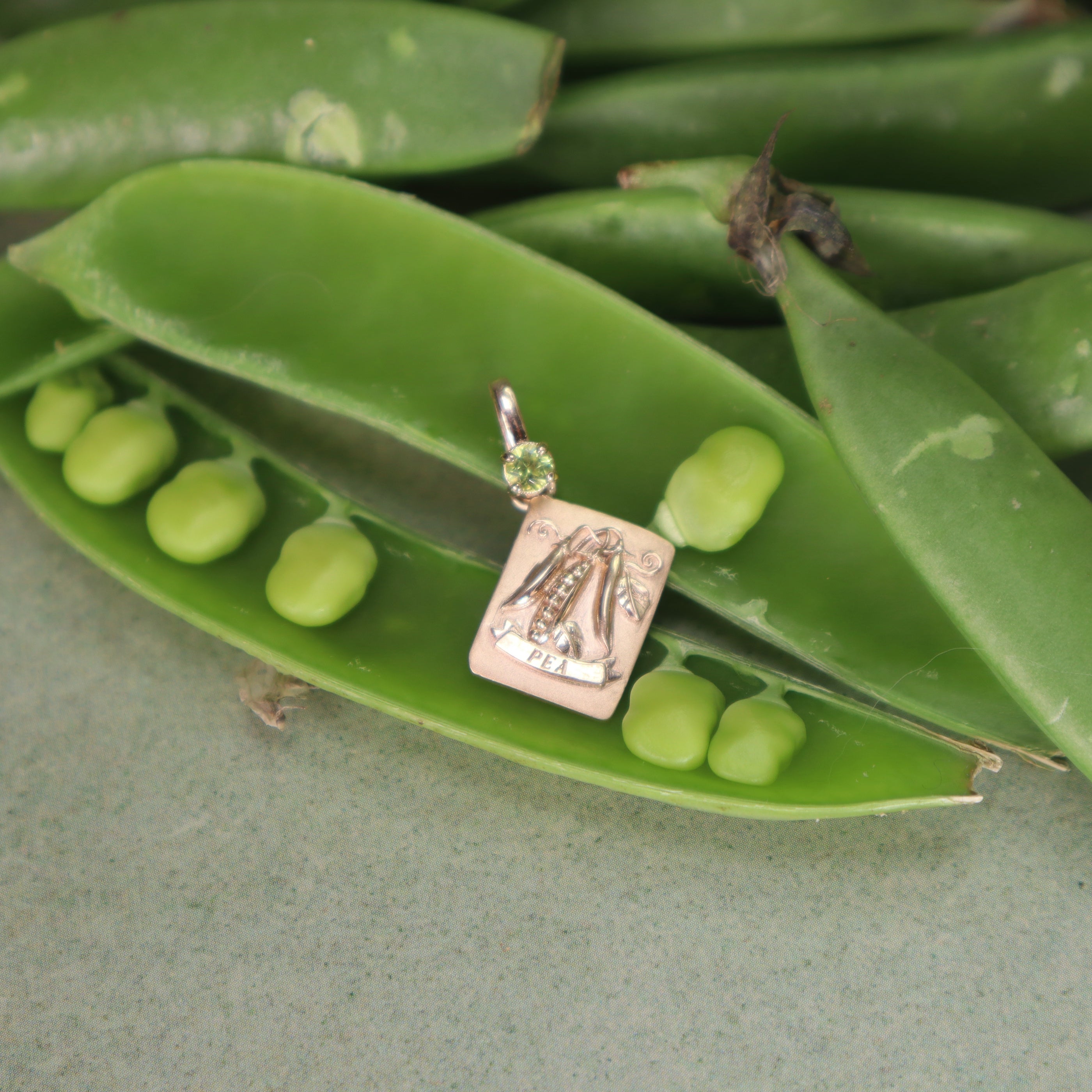 Golden Seed Packets – Ellie Lee Fine Jewelry