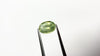 1.56ct Oval Green Sapphire