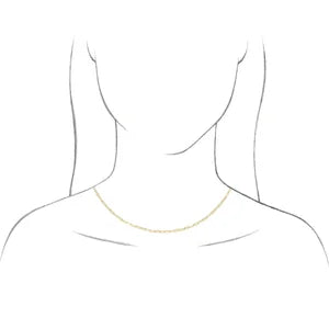 Paper Clip Chain Necklace