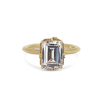 Jasmine Emerald cut Engagement Ring Hidden Diamonds