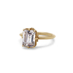 Jasmine Emerald cut Engagement Ring Hidden Diamonds