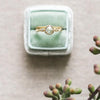 Rose Vine Rose Cut Yellow Gold Ring