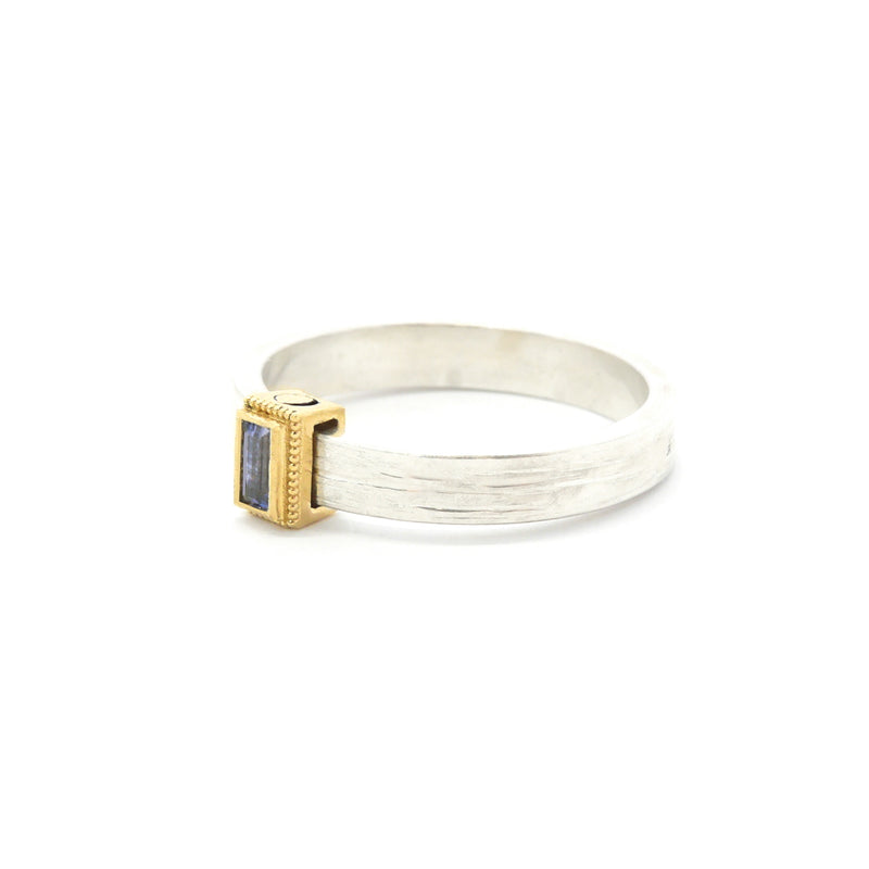 Rev Gold and silver Rustic Rolling Ring