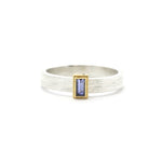 Rev Gold and silver Rustic Rolling Ring